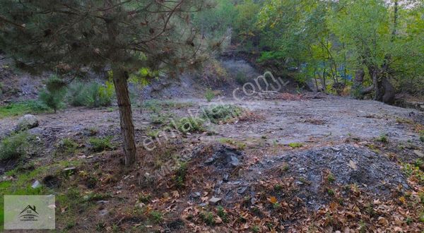 Doğayla Baş Başa, Huzurlu Yaşam Alanı!