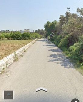 Urla İskele Ağaçlı Yol Arkası 4.843 M2 "3 Derece " Tarla