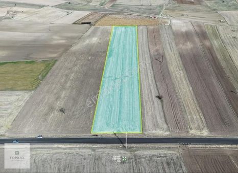 Afyon Kayıhanda 6.388m² Düz, Ana Yola Cepheli Yatırımlık Tarla