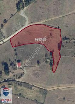 Dinçer Sancı'dan Kavak Çakallı'da Satılık Tarla