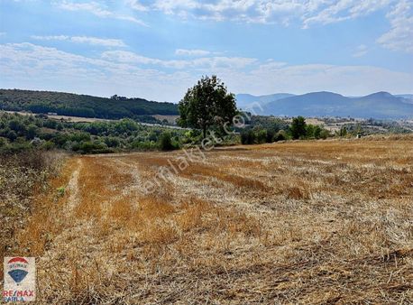 Remax Soner'den Kavak Mehmetpaşa'da İmara Yakın Satılık Tarla