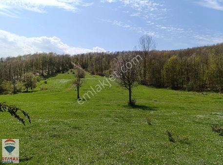 Remax Soner'den Kavak Küçükçukur'da 8000 M2 Satılık Tarla