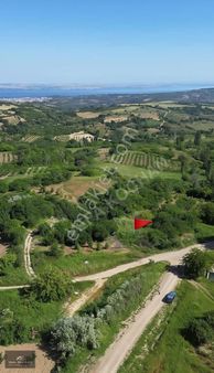 Çanakkale Lapseki Subaşı Mevkii Uygun Arsa Tapulu Arazi