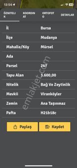 Bursa Mudanya Mürsel'de Satılık Zeytinlik