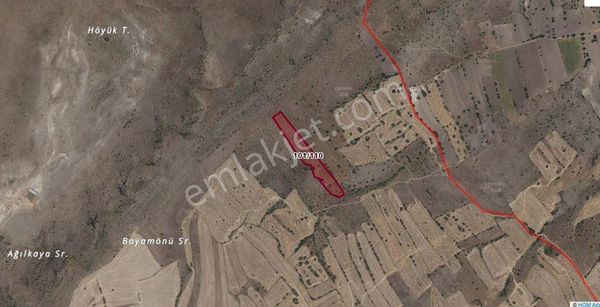 Ankara Ayaş Bayram Mahallesi'nde Boyamönü Mevkii Satılık Tarla.