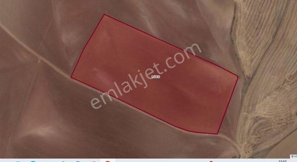 Polatlı İğciler Mahallesi'nde Kör Kuyu Mevkiinde Satılık Tarla.