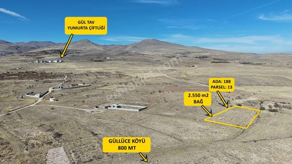 E.gökal Güllüce Gül Tav Yumurta Çiftliği İlerisi 2.550 M2 Bağ !