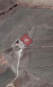 Acill Hacıtuğrulda İmarlı 1000m2 Tek Tapu Arsa !!!