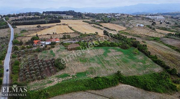 Yalova Termal Akköy Köyünde Yatırımlık Fırsat!