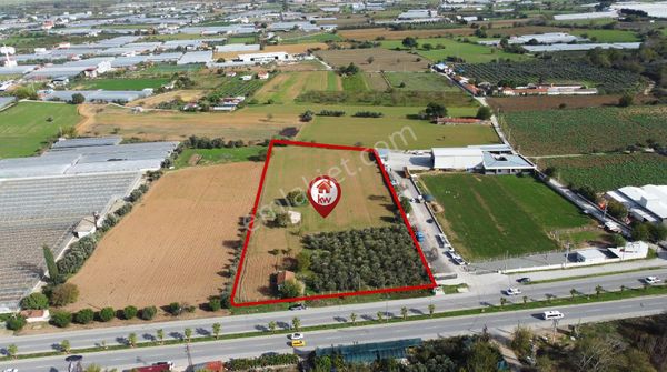 🌿 Menderes / Gümüldür Karayolu Üzerinde Eşsiz Fırsat Arazi! 🌿