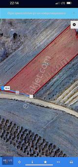 Kocaeli Derince Terzilerde Satılık 2.751. Metre Tarla