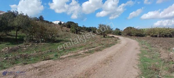 Bodrum Meşelikte Doğa İle Kazancın Buluştuğu Nokta!
