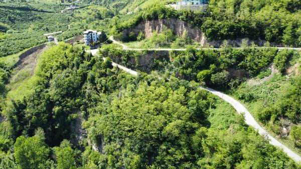 Trabzon Gözalan'da Satılık Arazi
