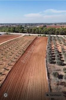 Mustafalar Köyü Kozan Yoluna 2 Nci Parsel Satılıktır