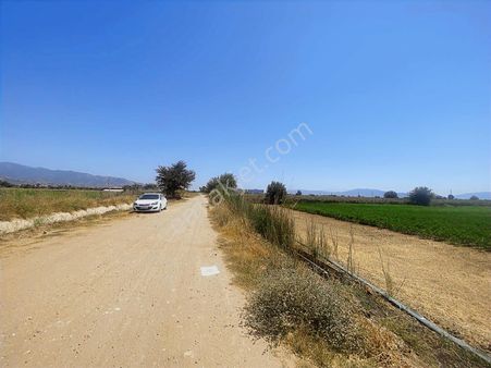 Aydın Efeler Kardeşköy De Tek Tapu 3 Dönüm Tarla