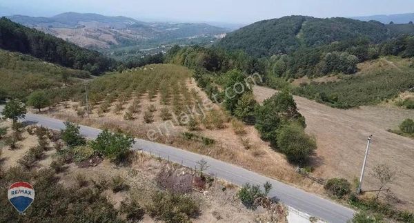 Re/max Mavi'den Yola Cepheli Fındıklık