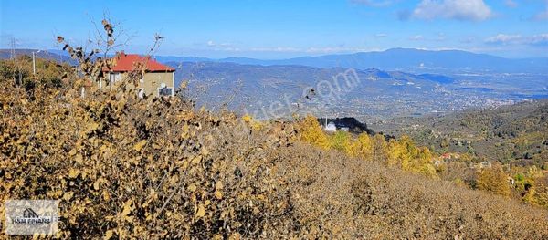 Düzce Gölyaka Saçmalıpınarda Satılık Doğa Manzaralı Harika Arsa