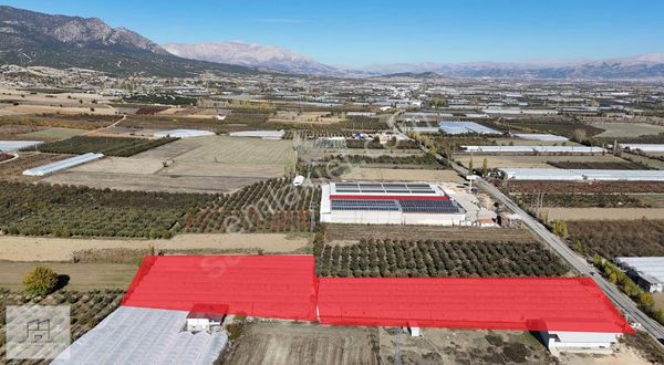 Elmalı Akçay'da-ana Yola Sıfır-kurulu Düzen 10 Dönüm Sera