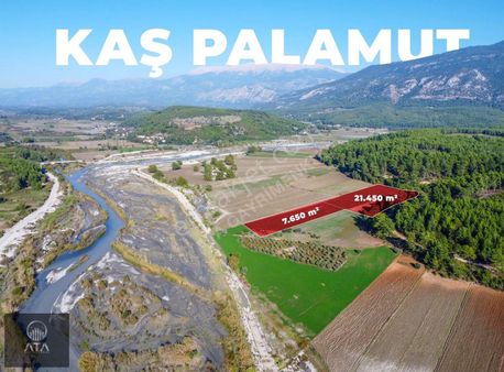 Ata'dan Palamut'ta Eşen Çayına Komşu 21.450 M² Ekime Hazır Tarla