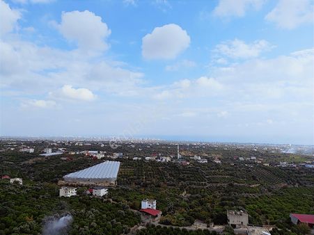 Tabiye Mahallesinde Satılık Limon Bahçesi