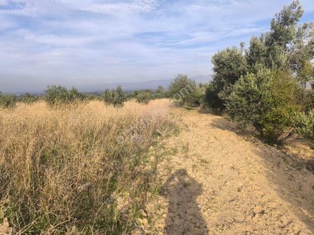 Manisa Şehzadeler Karaoğlanlıda Köye Yakin