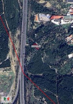 Gökdere Mahallesinde Satılık Bahçe Ve Zeytinlik