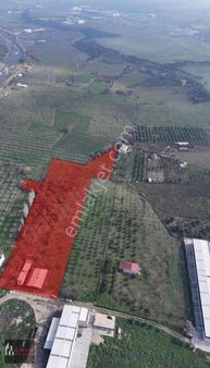 Kemalpaşa Armutlu Da Kacırılmayacak Fırsat Arazi