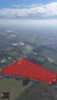 Kemalpaşa Hürriyet De Ankara Asfaltına Sıfır Konumda Arazi