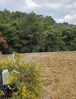 Kemalpaşa Vişnelide Acil Satılık Tapulu Parsel