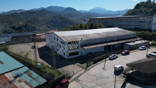 Century21'den Giresun Organize Sanayi Bölgesinde Satılık Fabrika