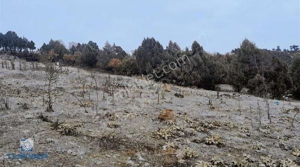 Bursa Büyükorhan'da Köy Yerleşimine Yakın