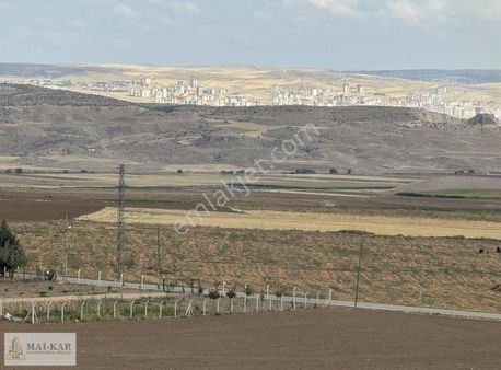 Temelli Bacı Tek Tapu Tarla 8.300 M2