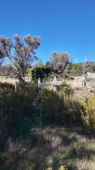 Bornova Yaka Mahallesinde Satılık 338 M2 Bağ Bahçe