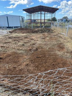 Menderes'te ( Kooperatif Hisseli Noter Satışlı ) 245 M2 Tarla