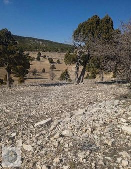 Ceo Gruptan Geleceğe Yatırımlık Tarla