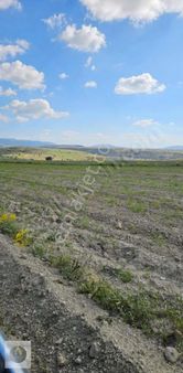 Ceo Gruptan Mutta Geleceğe Yatırımlık Tarla