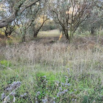 Yatırım Gayrımenkul Den Edıncık Te Denız Manzara Lı Kadastro Yoluna Cephe