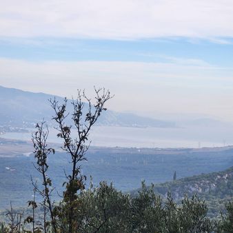 Yatırım Gayrımenkul Den Edıncık Te Denız Manza Lı Kadastro Yoluna Sıfır 4600 M2 Zeytınlık