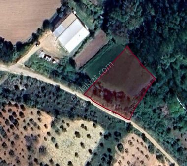 Oğuzeli Çaybaşında 1675 M2 Tek Tapu Yatırımlık Tarla