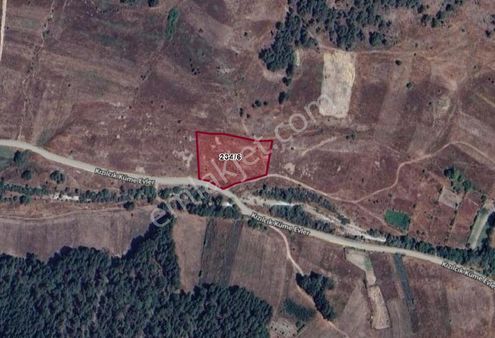 Kütahya Simav Kızılcık Köyünde 6.021 M² Tarla Satılıktır