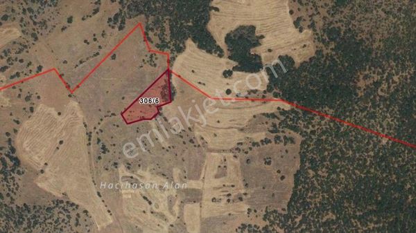 Konya Ilgın Gökçeyurt/gümüş Köyü’nde 3.775 M² Tarla Satılıktır