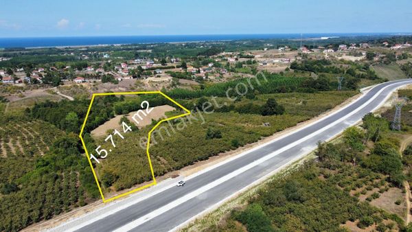 Karasu Karamüezzinler Mah. Karasu-kaynarca Duble Yoluna Cepheli 15.714 M2 Satılık Fındık Bahçesi