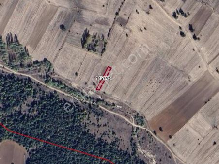 Kütahya Çavdarhisar Pusatlar Köyünde 656 M² Tarla Satılıktır