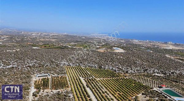 Mersin Erdemli Tırtar Deniz Ve Yat Limanı Manzaralı Bahçe