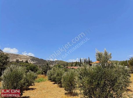 Seydikemer Yakabağ Mahallesinde İlkon'dan Satılık Tarla