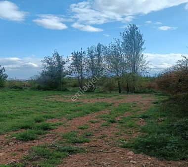 Oğuzeli Gürsu Da 1020 M2 Çok Güzel Bahçe