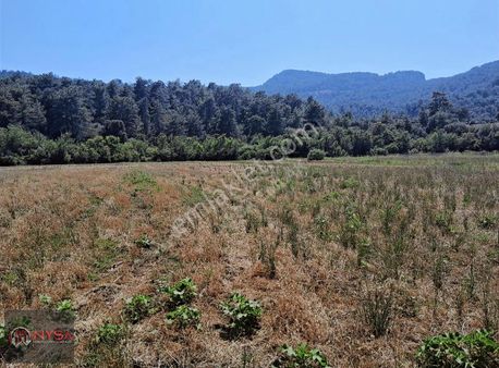 Nysa Emlak'tan Köy Yerleşik Alanı İçerisinde Satılık Hisse