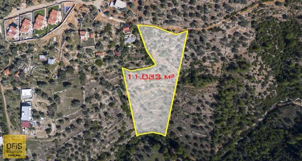 Ofis Bodrum | Bodrum Yalıçiftlik 11.083 M² İmara Sıfır Tarla