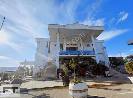 Toybelende Her Koşulda Kazançlı Yatırım...