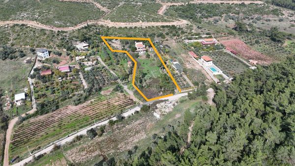 İzmir Menderes Yeniköyde 5685 M2 Tek Tapu Malikhane Ev Bahçe Bakımsız